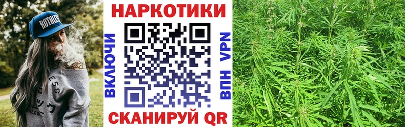 Магазины продажи наркотиков Онега МАРИХУАНА  Амфетамин  ГАШИШ  Меф мяу мяу  COCAIN  А ПВП 