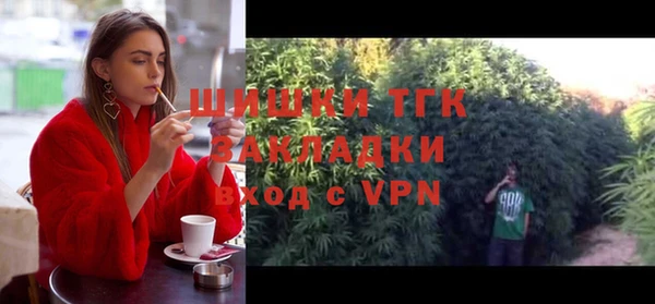 молекула духа Арсеньев