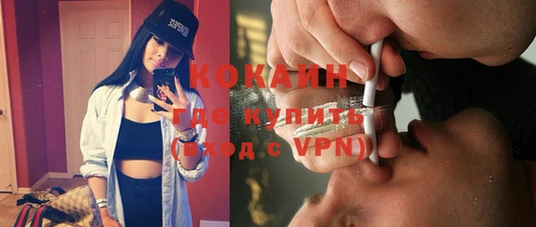 молекула духа Арсеньев