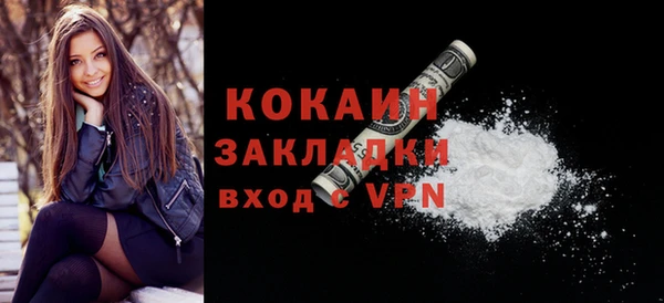 молекула духа Арсеньев