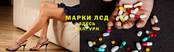 молекула духа Арсеньев