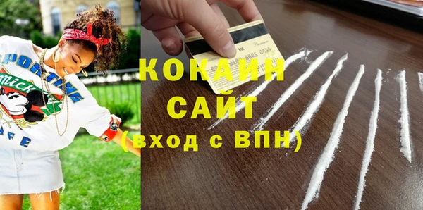 молекула духа Арсеньев