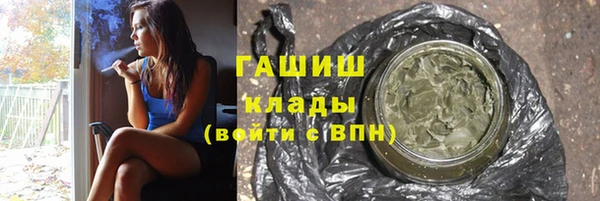 молекула духа Арсеньев