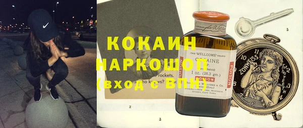 молекула духа Арсеньев