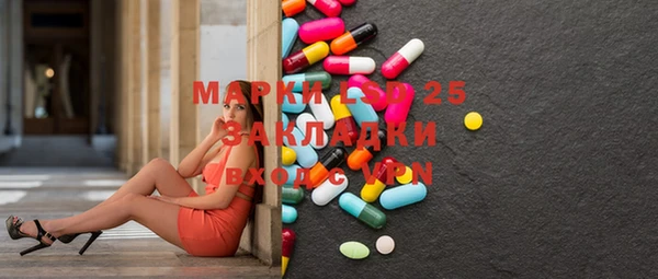молекула духа Арсеньев