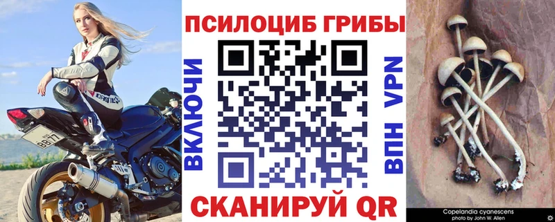 Галлюциногенные грибы ЛСД  omg зеркало  Онега 